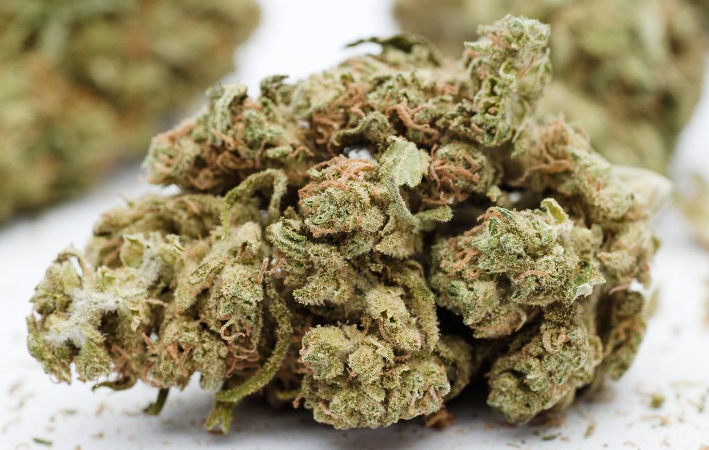 Vanilla Berry Pie cannabis